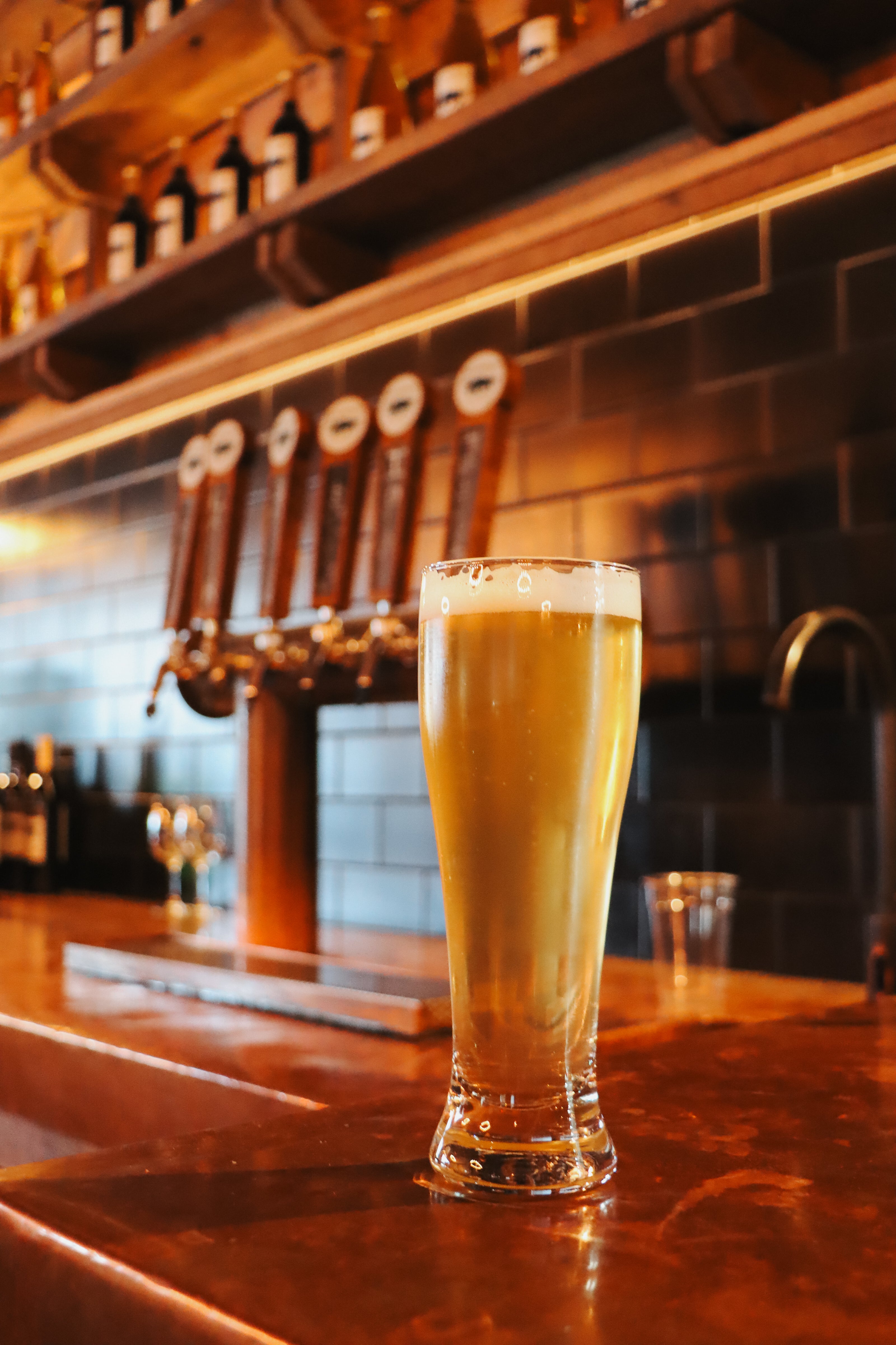Glass of Eastwood beer in front of taps