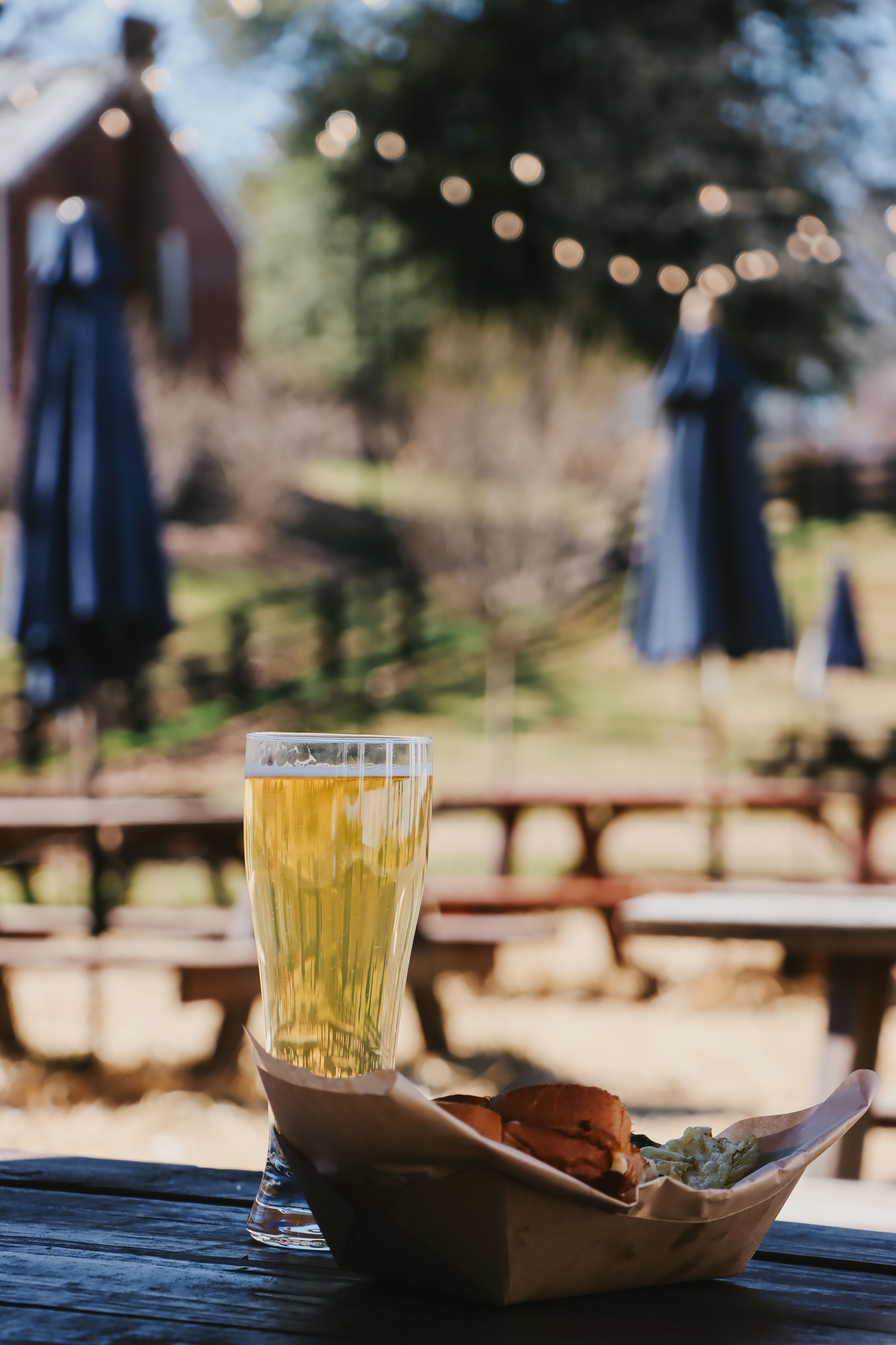 Eastwood beer and grilled cheese, outside